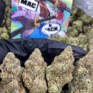 Frosted Fruit Cake Strain