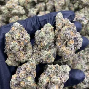 Grape Ape weed strain