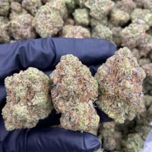 Grease Monkey Strain