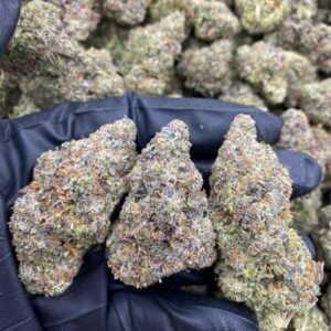 MK Ultra Weed Strain