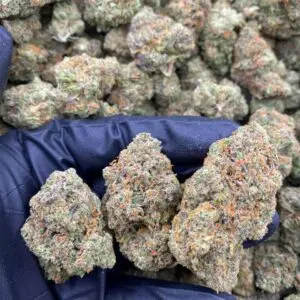 Monster Glue Weed Strain