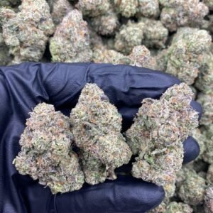 Neon Sunshine Strain