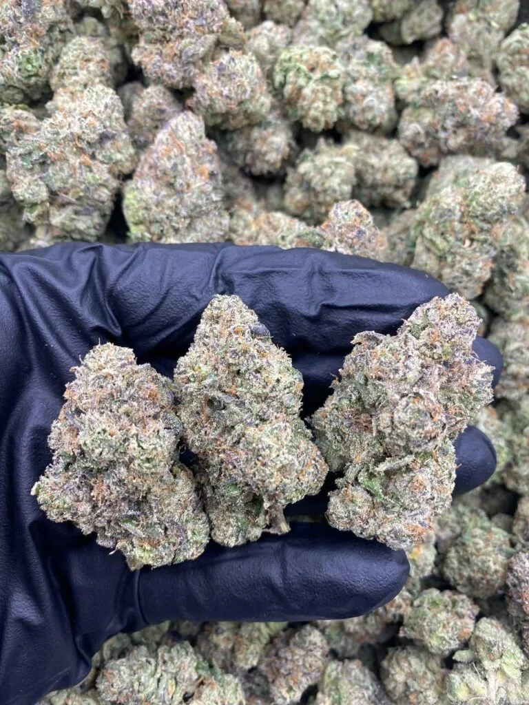 Neon Sunshine Strain