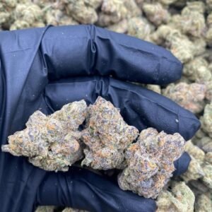 Pure Michigan Strain