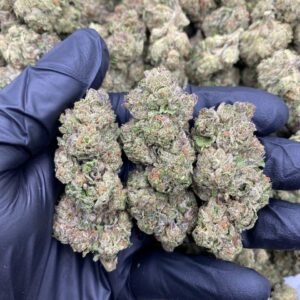 Rockstar Weed Strain