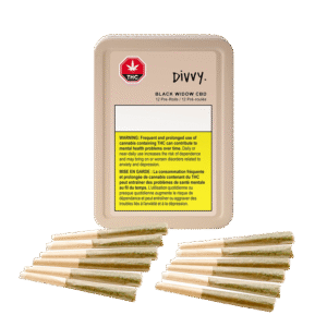 Divvy Pre Rolls