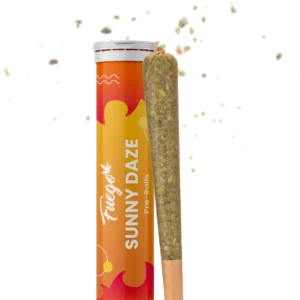 Sunny Daze Pre Roll