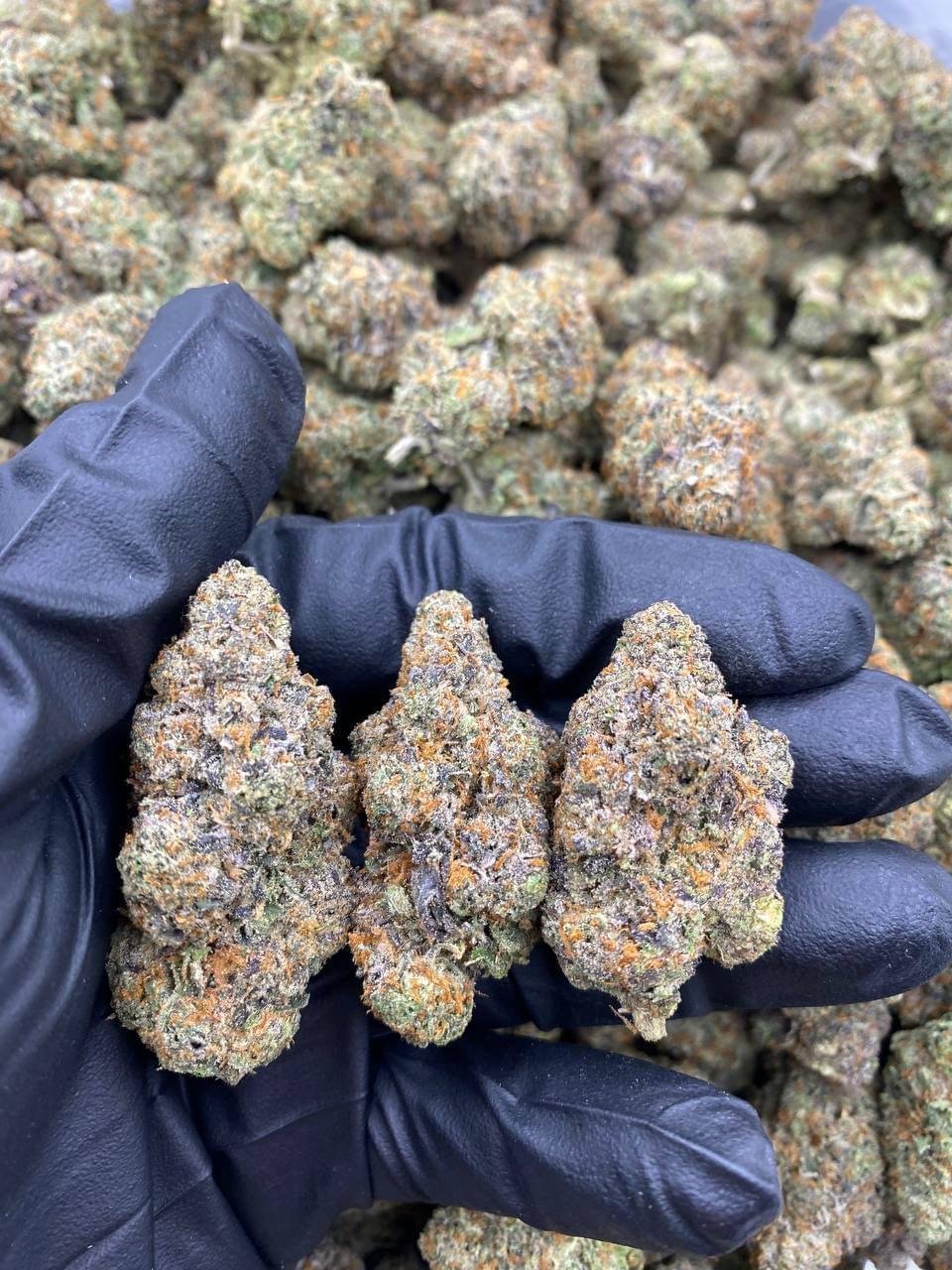 Fruity Pebbles Weed Strain